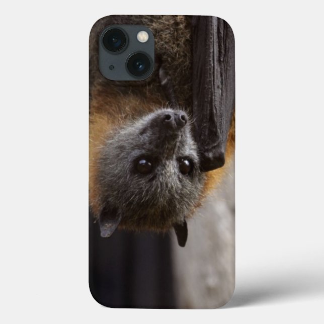 Funda De Case-Mate Para iPhone Australian Bat (Reverso)
