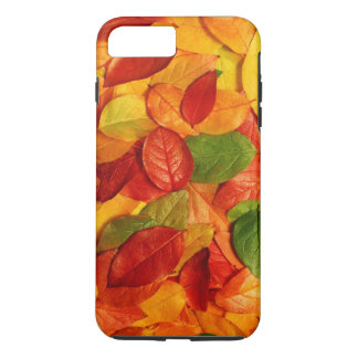title_seo2 autum