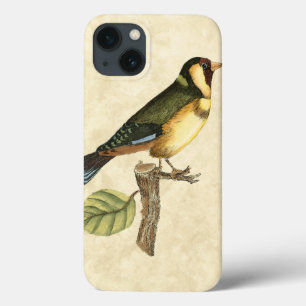 Funda Para iPhone 13 Ave amarilla y verde encaramado en una pequeña ra