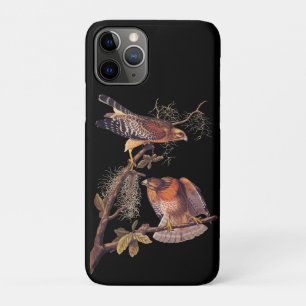 Funda Para iPhone 11 Pro Ave Audubon de Halcón Rojo de Prey