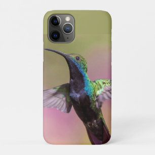 Funda Para iPhone 11 Pro Ave de barro