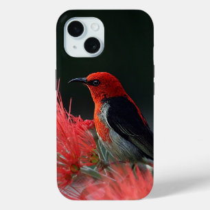 Funda Para iPhone 15 Ave exótica