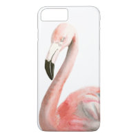 Ave Flamingo Tropical