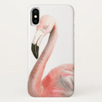 Ave Flamingo Tropical