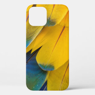 Funda Para iPhone 12 Aves amarillas azules y rojas de la flor del paraí