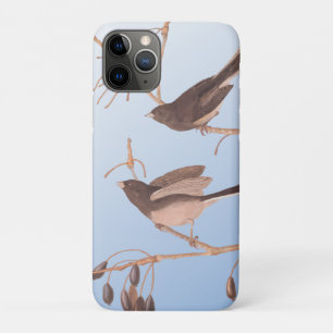 Funda Para iPhone 11 Pro Aves de nieve en una rama de invierno desnuda