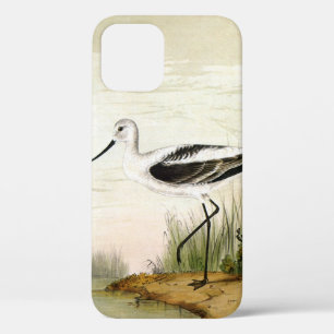 Funda Para iPhone 12 Aves playeras de vida marina vintage, aves avoceta
