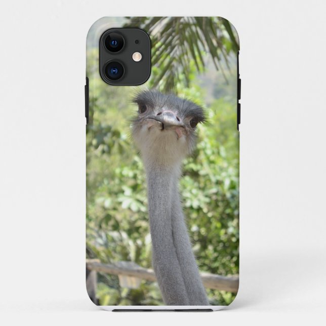 Funda De Case-Mate Para iPhone Avestruz (Reverso)