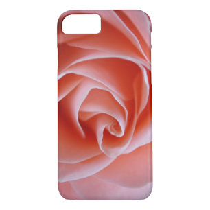 title_seo2 Awesome Camelia Rosa