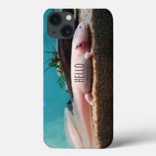 Funda Para iPhone 13 Axolotl leucista