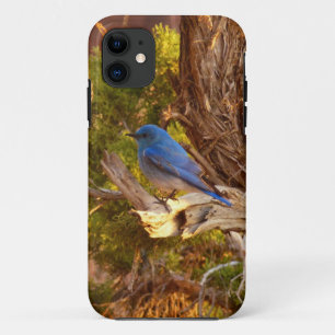 Funda Para iPhone 11 Azulejo Montañés en el Parque Nacional Arches