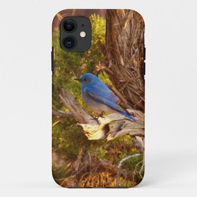 Funda De Case-Mate Para iPhone Azulejo Montañés en el Parque Nacional Arches (Reverso)