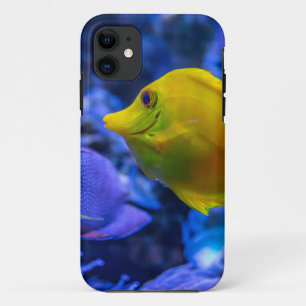 Funda Para iPhone 11 Azules Y Amarillos De Dos Bonitos Peces