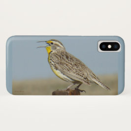 Funda Para iPhone X B6 Western Meadowlark