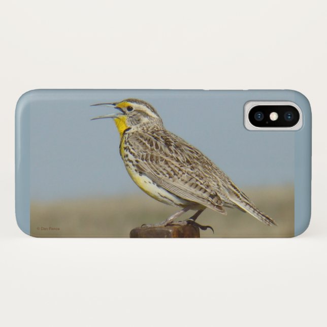 Funda De Case-Mate Para iPhone B6 Western Meadowlark (Reverso (horizontal))