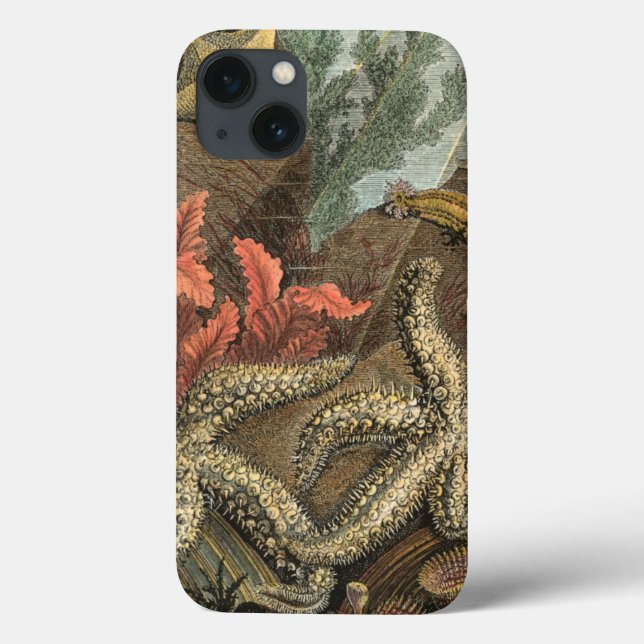 Funda De Case-Mate Para iPhone Bajo el mar (Reverso)