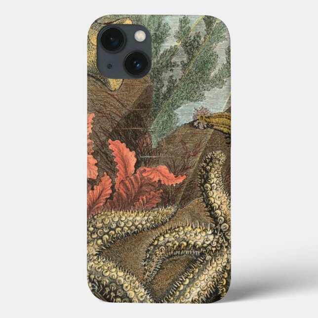 Funda De Case-Mate Para iPhone Bajo el mar (Reverso)