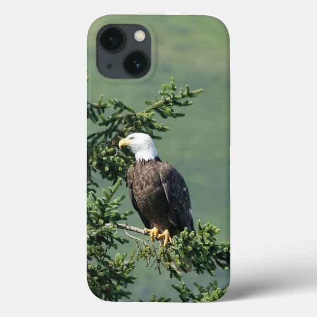 Funda De Case-Mate Para iPhone Bald Eagle (Reverso)