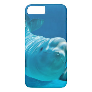 title_seo2 Ballena de la beluga