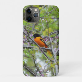 Funda Para iPhone 11 Pro Baltimore Oriole