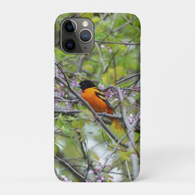 Funda De Case-Mate Para iPhone Baltimore Oriole (Reverso)