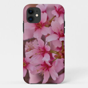 title_seo2 Bañada en sakura con flores de cerezo japonés rosa