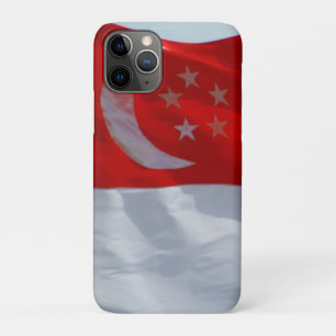 title_seo2 bandera de singapur