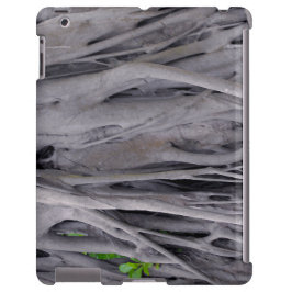 title_seo2 Banyan Tree Trunk