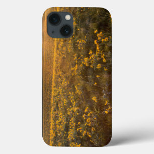 Funda Para iPhone 13 Base De Arrowleaf Balsamroot Flores Silvestres