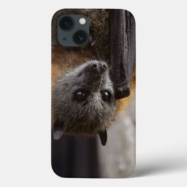 Funda De Case-Mate Para iPhone Bate australiano (Reverso)