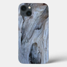 Beach Driftwood