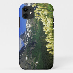 title_seo2 Beargrass en Logan Pass en Glacier National Park
