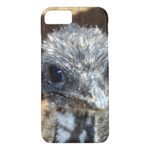 title_seo2 Bebé australiano Emu