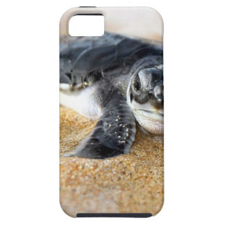 Funda Para iPhone SE/5/5s bebé-tortuga. caso del iphone