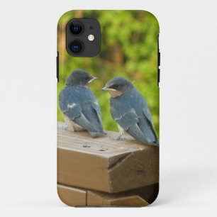 Funda Para iPhone 11 Bebé Traga fotografías de aves naturales