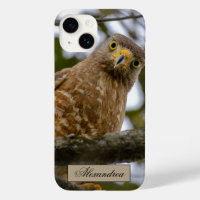 Belice Brown Roadside Hawk Bird Photography