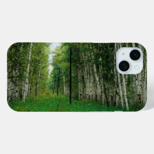 title_seo2 Bello arte en el bosque Birch Tree