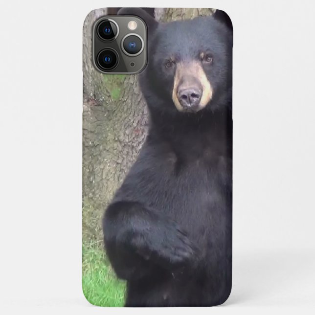 Funda De Case-Mate Para iPhone Bello oso negro (Reverso)