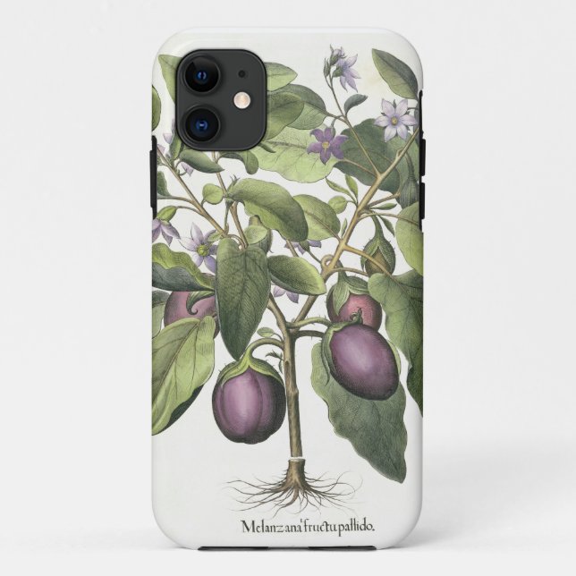 Funda De Case-Mate Para iPhone Berenjena: Pallido del fructu de Melanzana, del (Reverso)