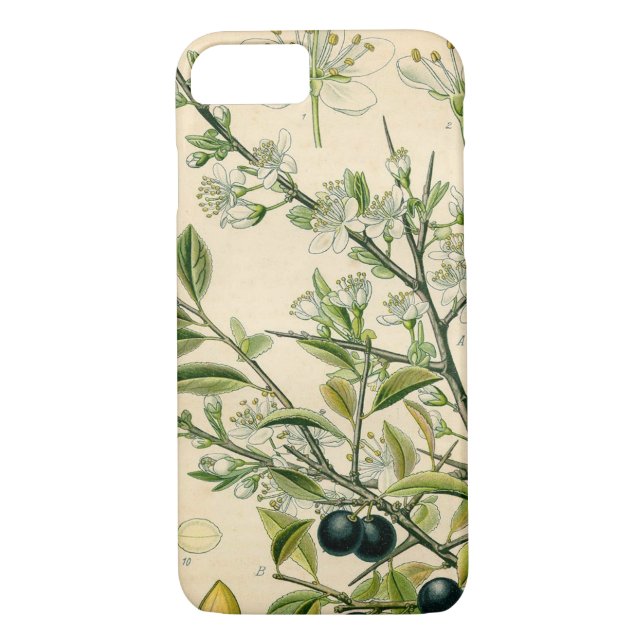 Funda De Case-Mate Para iPhone Berry de flores antiguas de espinas negras (Reverso)