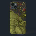 title_seo2 Besler Dramatique I<br><div class="desc">Floral</div>