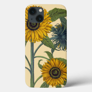 title_seo2 Besler: Girasol