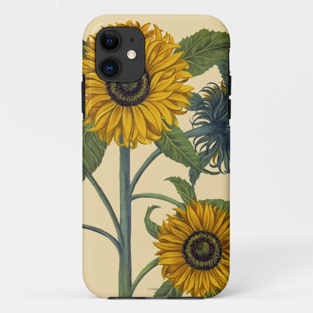 Funda De Case-Mate Para iPhone Besler: Girasol (Reverso)