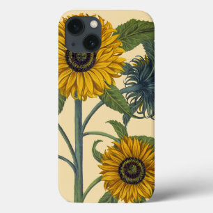Funda Para iPhone 13 Besler: girasol