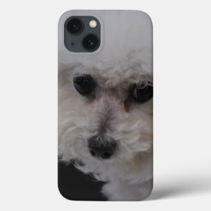 Funda Para iPhone 13 Bichon dulce Frise