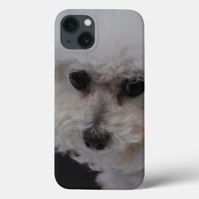 Funda De Case-Mate Para iPhone Bichon dulce Frise (Reverso)