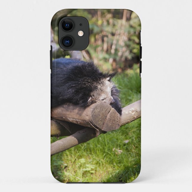 Funda De Case-Mate Para iPhone Binturong durmiente (Reverso)