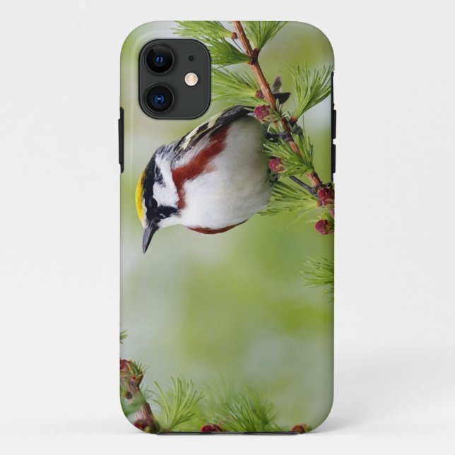 Funda De Case-Mate Para iPhone Bird grey_iphone (Reverso)