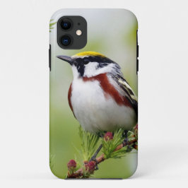 Funda Para iPhone 11 Bird grey_iphone