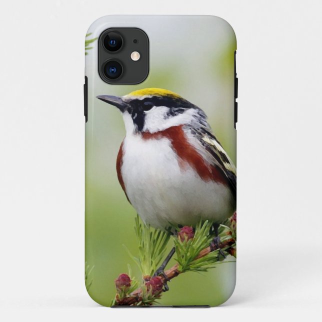 Funda De Case-Mate Para iPhone Bird grey_iphone (Reverso)